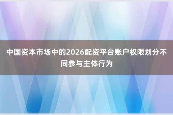 中国资本市场中的2026配资平台账户权限划分不同参与主体行为