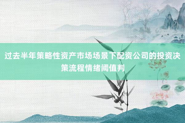 过去半年策略性资产市场场景下配资公司的投资决策流程情绪阈值判