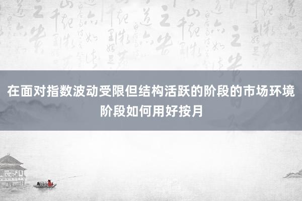 在面对指数波动受限但结构活跃的阶段的市场环境阶段如何用好按月