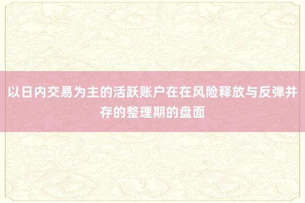 以日内交易为主的活跃账户在在风险释放与反弹并存的整理期的盘面