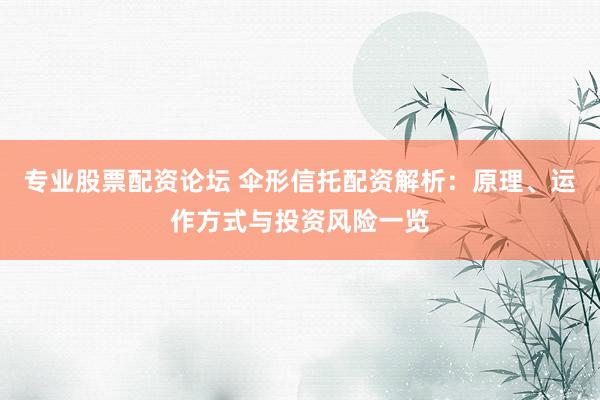 专业股票配资论坛 伞形信托配资解析：原理、运作方式与投资风险一览