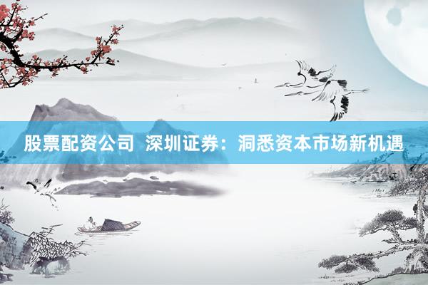 股票配资公司  深圳证券：洞悉资本市场新机遇