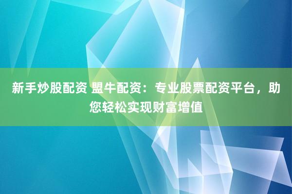 新手炒股配资 盟牛配资：专业股票配资平台，助您轻松实现财富增值